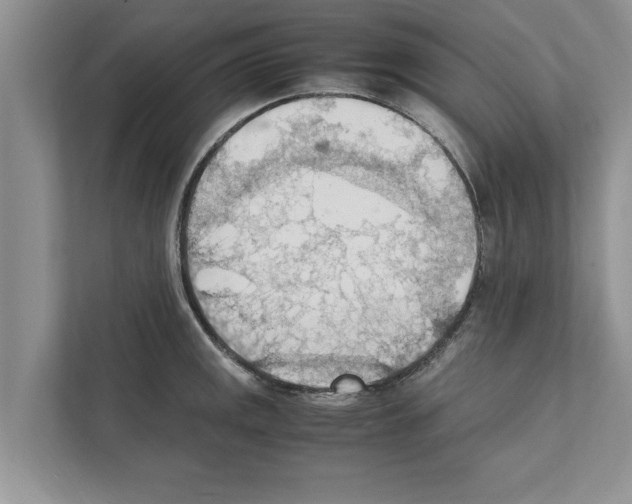 X0000111601141200908271003