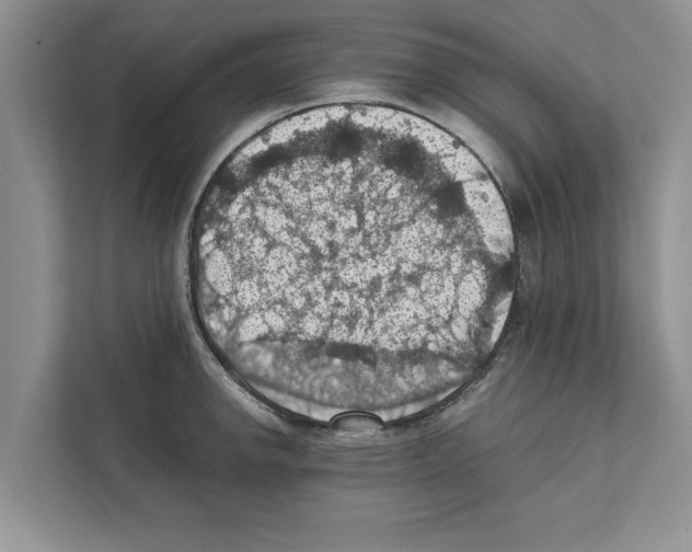 X0000111601142200908271003