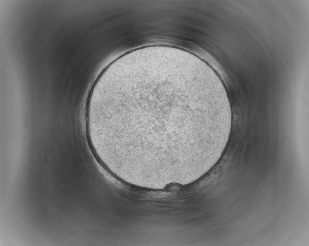 X0000111601143200908271003