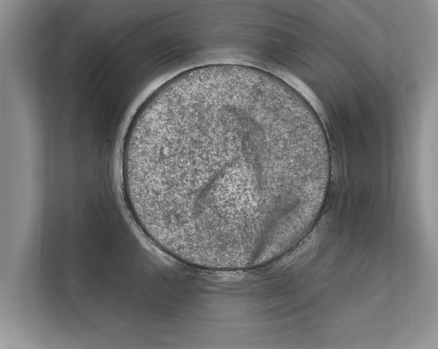 X0000111601144200908271003