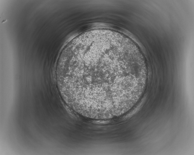 X0000111601145200908271003