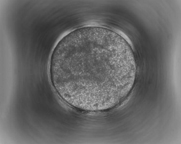 X0000111601146200908271003