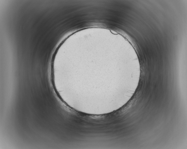 X0000111601147200908271003