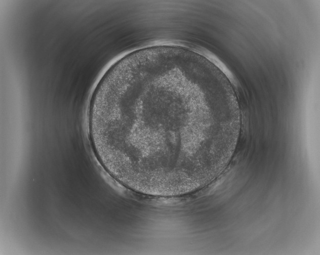 X0000111601148200908271003