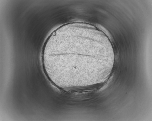 X0000111601149200908271003