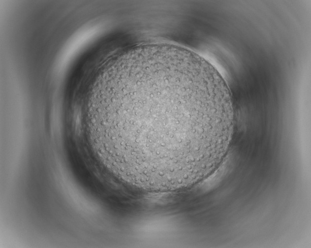 X0000111601150200908271004