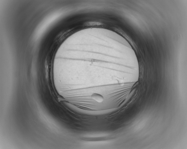 X0000111601151200908271004