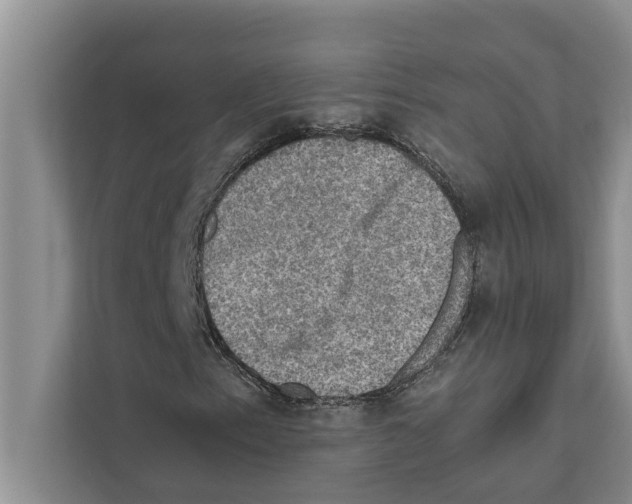 X0000111601153200908271003