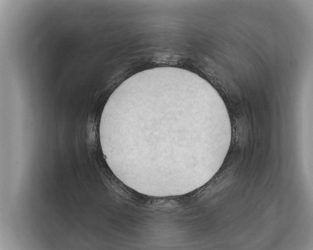 X0000111601154200908271003
