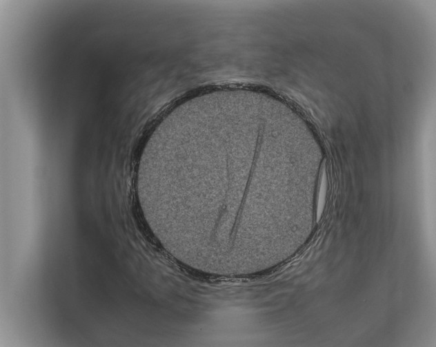 X0000111601157200908271003