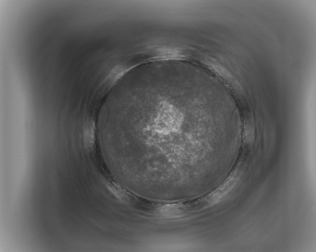 X0000111601161200908271003