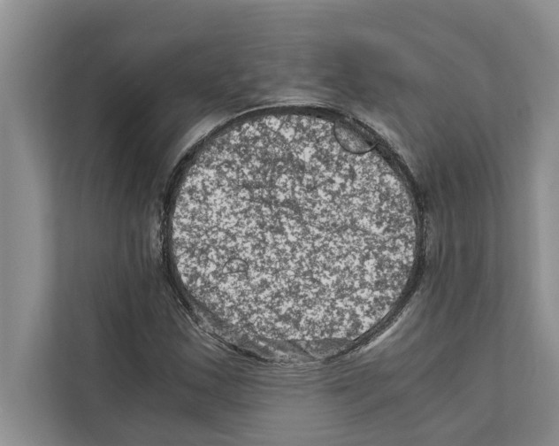 X0000111601163200908271003