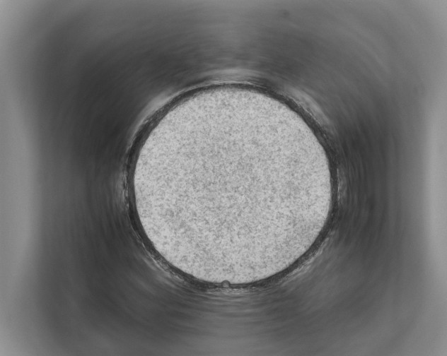 X0000111601164200908271003