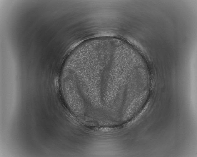 X0000111601169200908271003