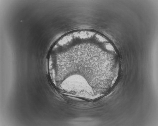 X0000111601171200908271003