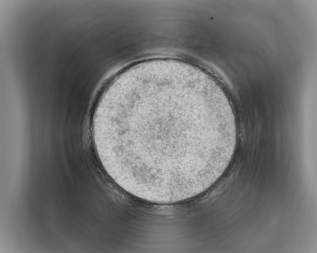 X0000111601172200908271003