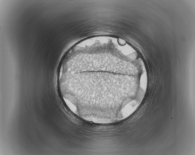X0000111601179200908271003