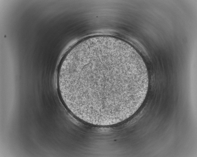 X0000111601180200908271003