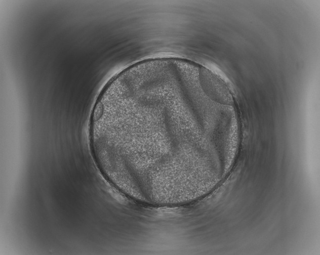 X0000111601181200908271003