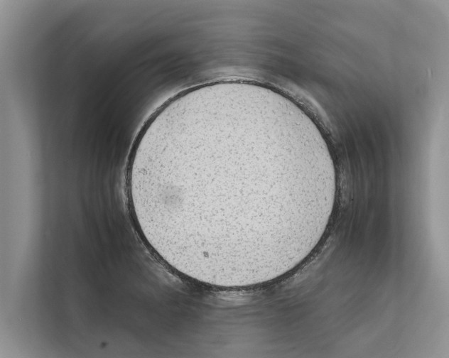 X0000111601182200908271003