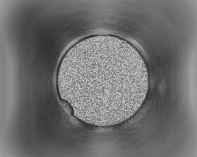 X0000111601183200908271003