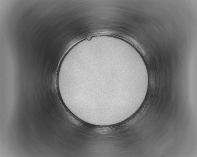 X0000111601186200908271002