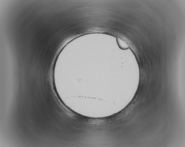 X0000111601187200908271002
