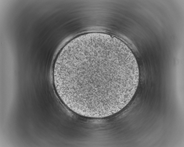 X0000111601188200908271002