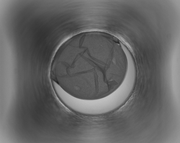 X0000111601189200908271002
