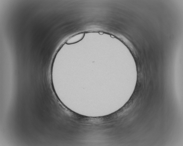 X0000111601191200908271002