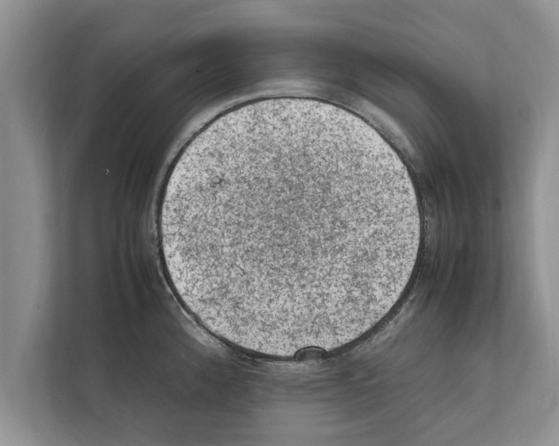 X0000111601192200908271002
