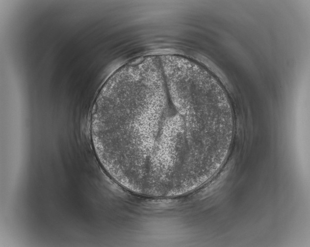 X0000111601193200908271002