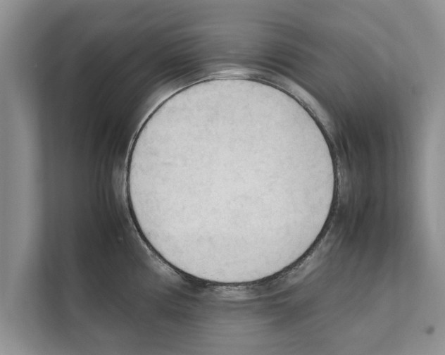 X0000111601194200908271002