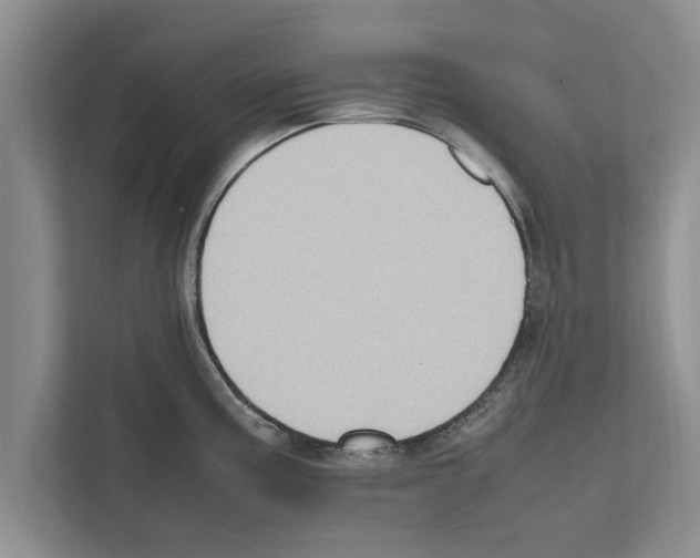 X0000111601195200908271002