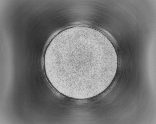 X0000111601196200908271002