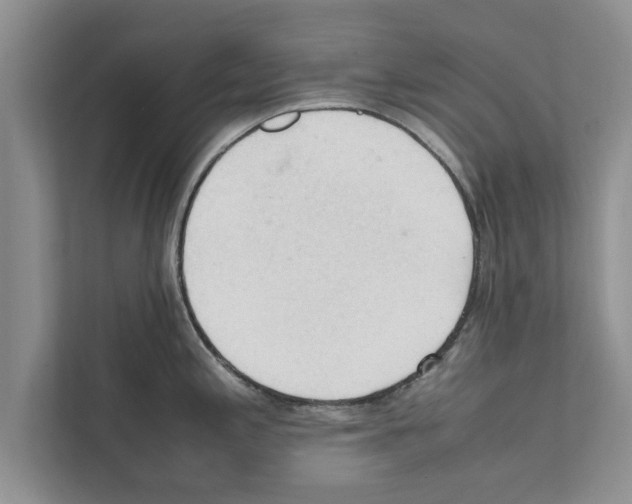 X0000111601197200908271002