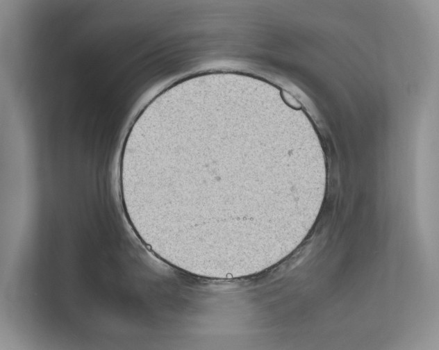 X0000111601199200908271002