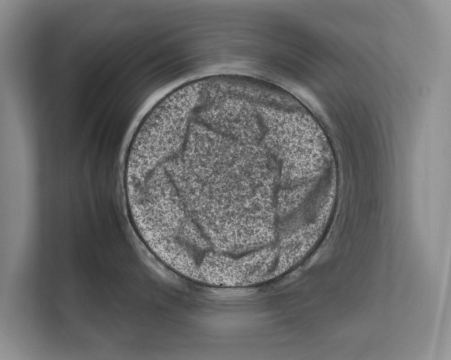 X0000111601200200908271002