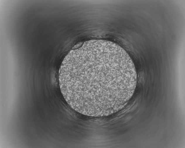 X0000111601202200908271002