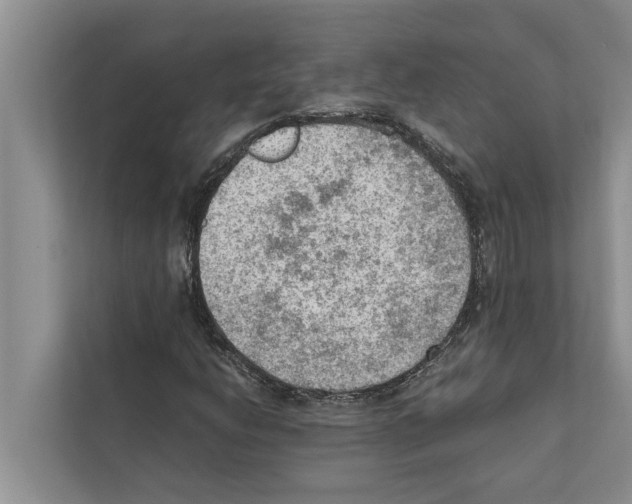X0000111601206200908271002