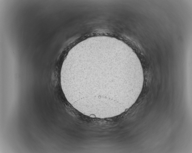 X0000111601207200908271002