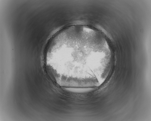 X0000111601213200908271002
