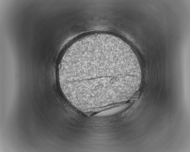 X0000111601214200908271002
