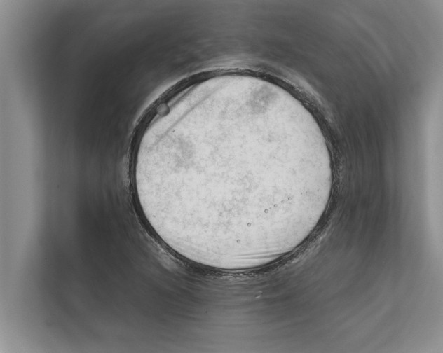 X0000111601216200908271002