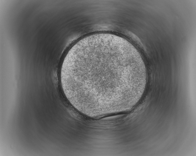 X0000111601218200908271002