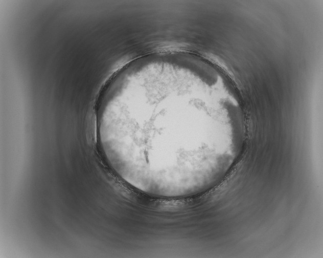 X0000111601219200908271002
