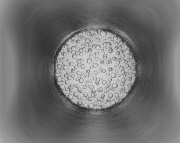X0000111601220200908271002