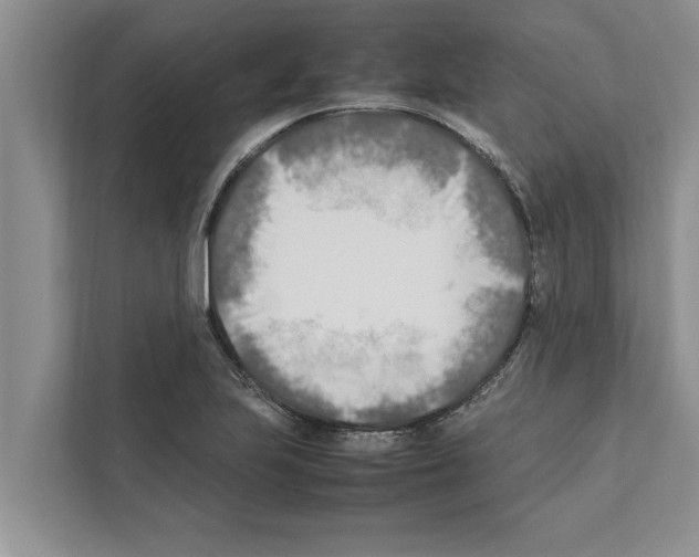 X0000111601223200908271002