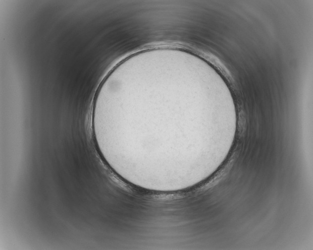 X0000111601228200908271002