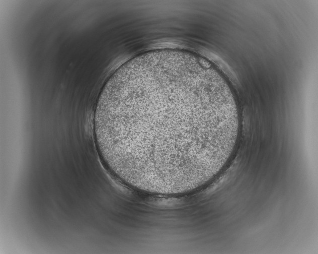 X0000111601233200908271002